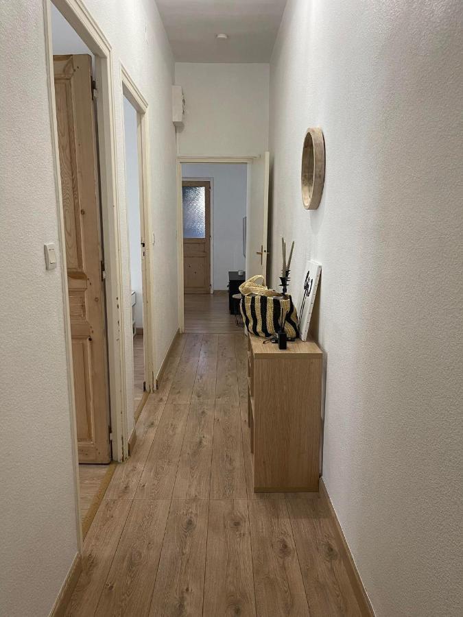 Cosy Nid Douillet Au Coeur Du Centre Ville De 페르피냥 외부 사진